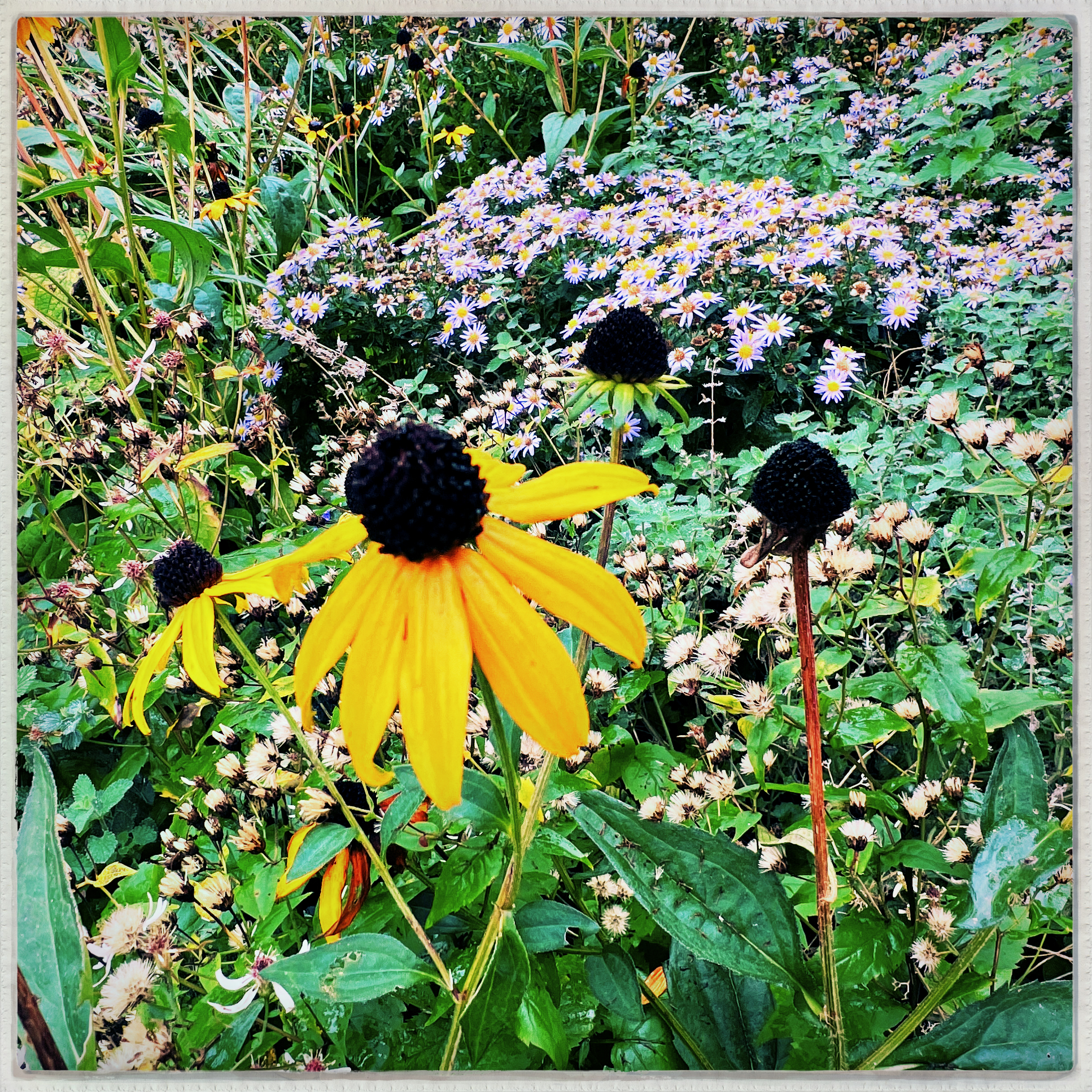 I bloody love autumn